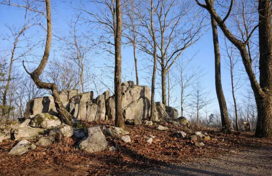 blwtuf5xb7wdpkfsvubl