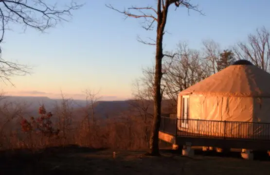 ln53mo9qxdhgmvwwayrj