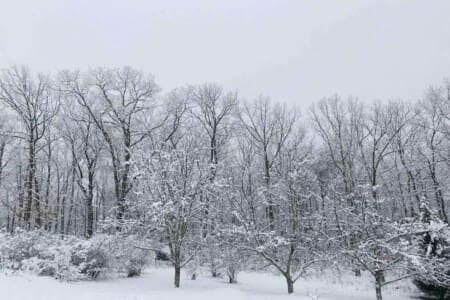 7f007879 850a 40 S13ba